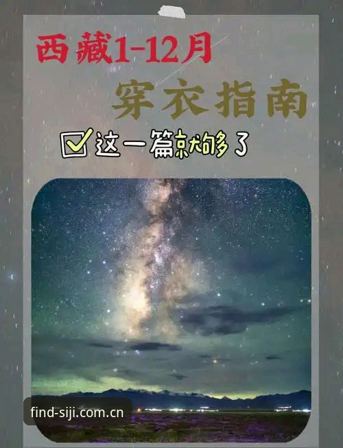 四季官方网站深度解析：新手用户全面使用指南