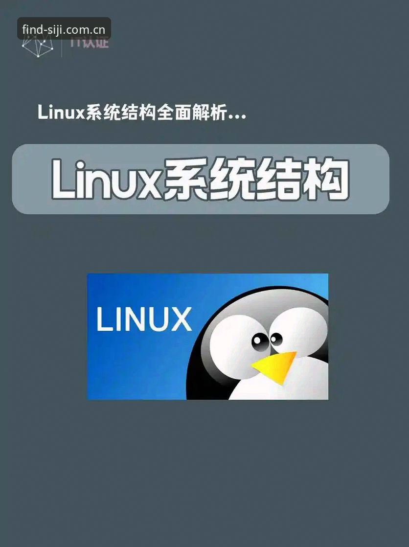 四季查询系统登录方式全面解析：哪个入口更高效实用？